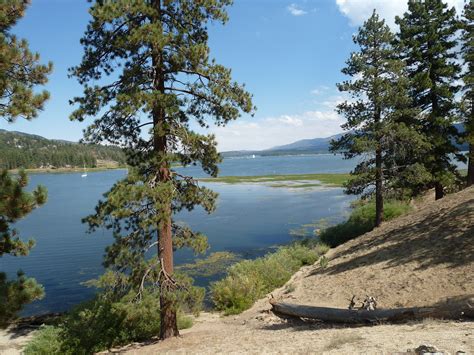 big bear activities.